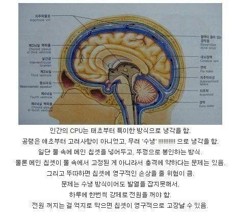 16902830226329.jpg