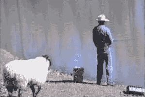 16919692536907.jpg