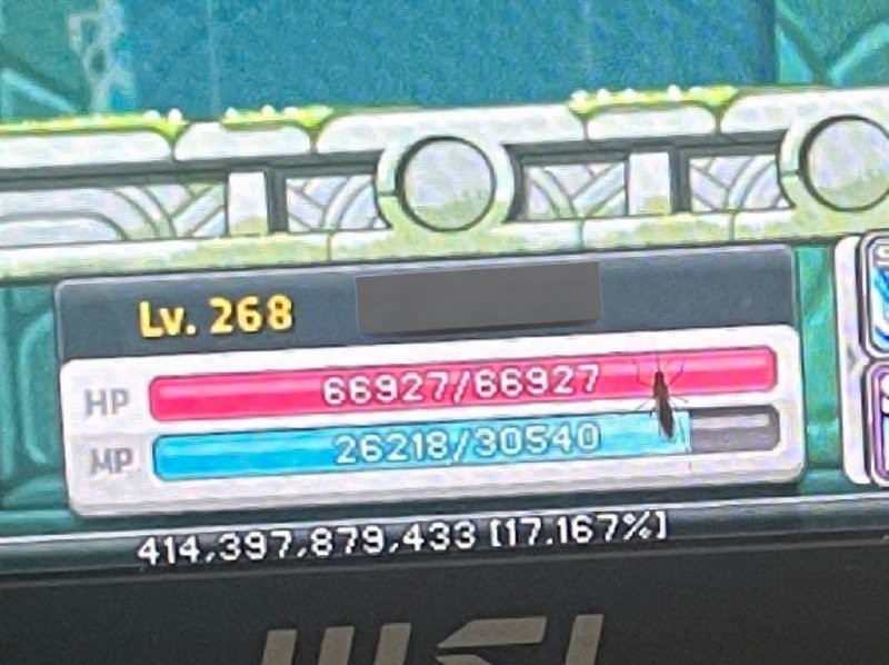 16953666013301.jpg