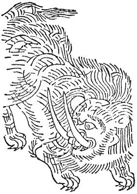 16979582295181.jpg