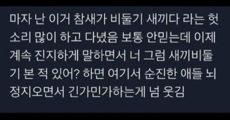 17041499022788.jpg