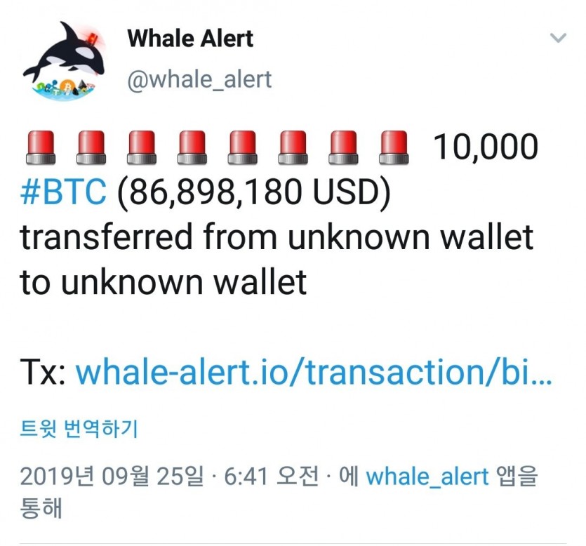 16860123350106.jpg
