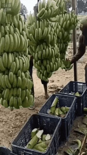 16859385164437.jpg