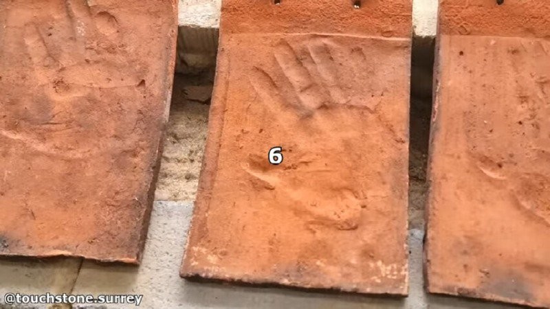 16859484347949.jpg