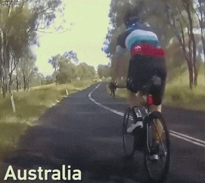 16859689021417.jpg