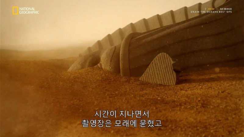 16860086171543.jpg