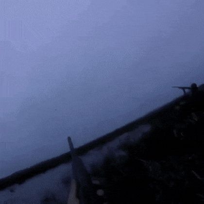 17047701898618.jpg