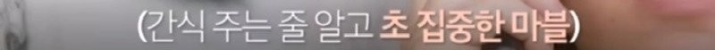 17054462791913.jpg