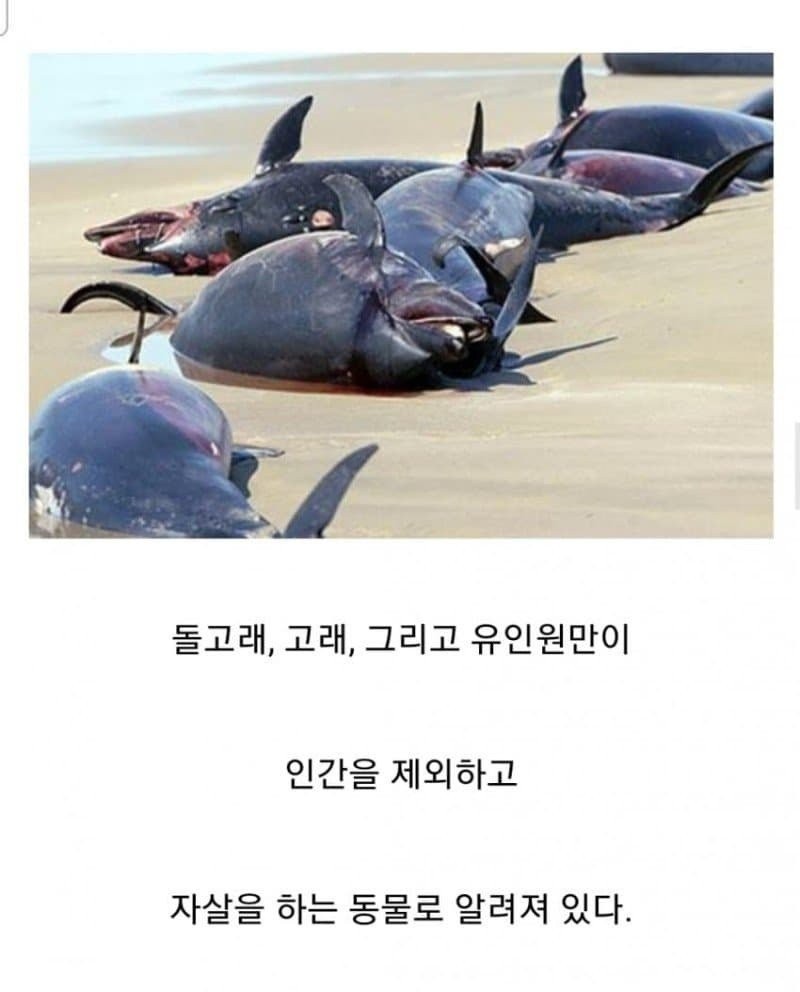 17085456636661.jpg