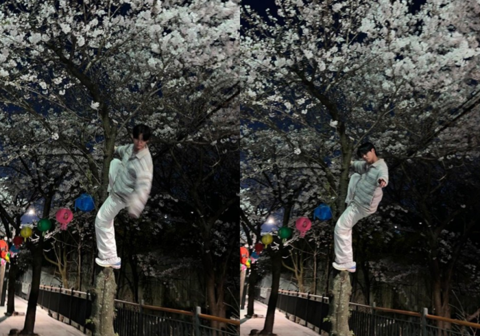 17128332421771.png