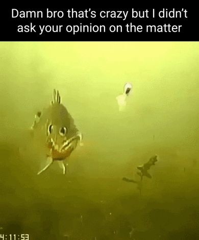 17130924165992.jpg