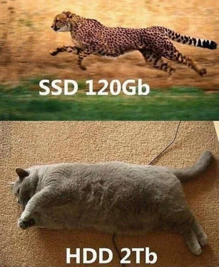 17157780425194.png