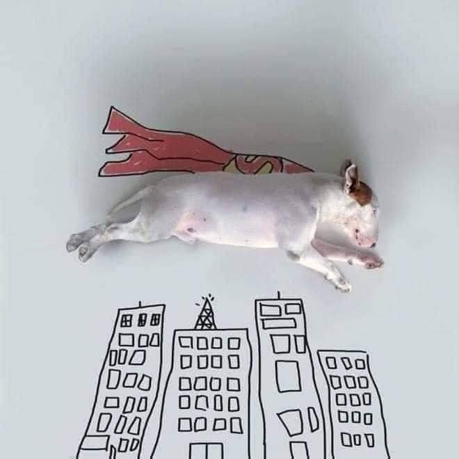 17166852833241.jpg