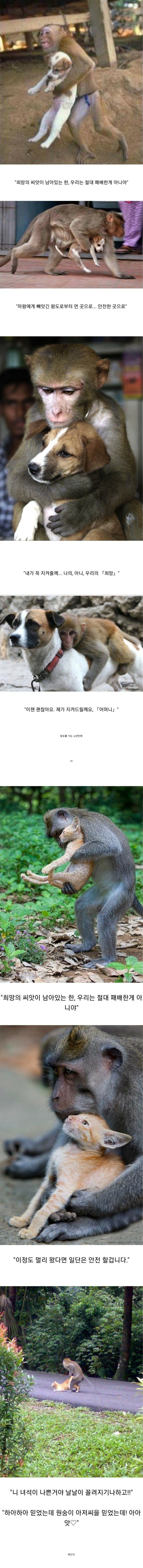 1717160408665.jpg