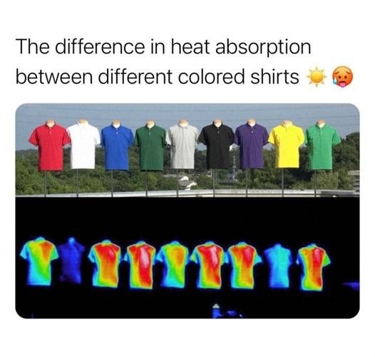 17177220274871.jpg
