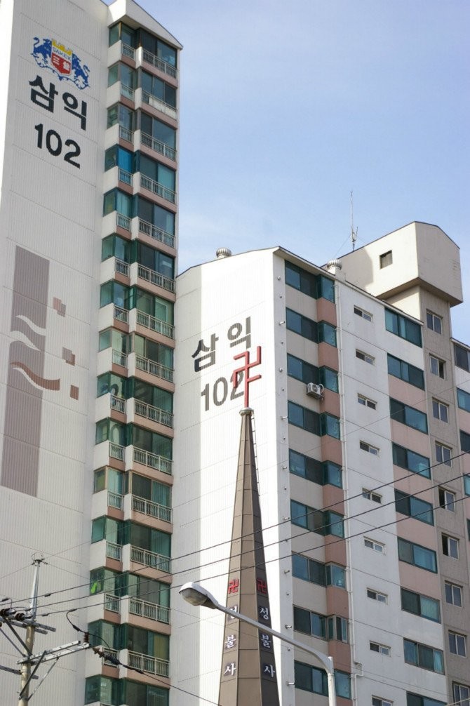 17195364396736.jpg