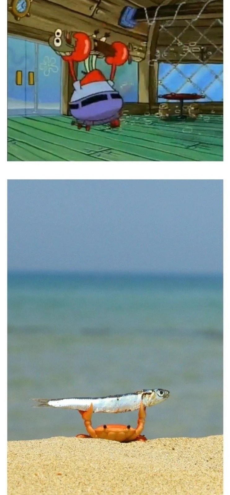 17262756434394.jpg