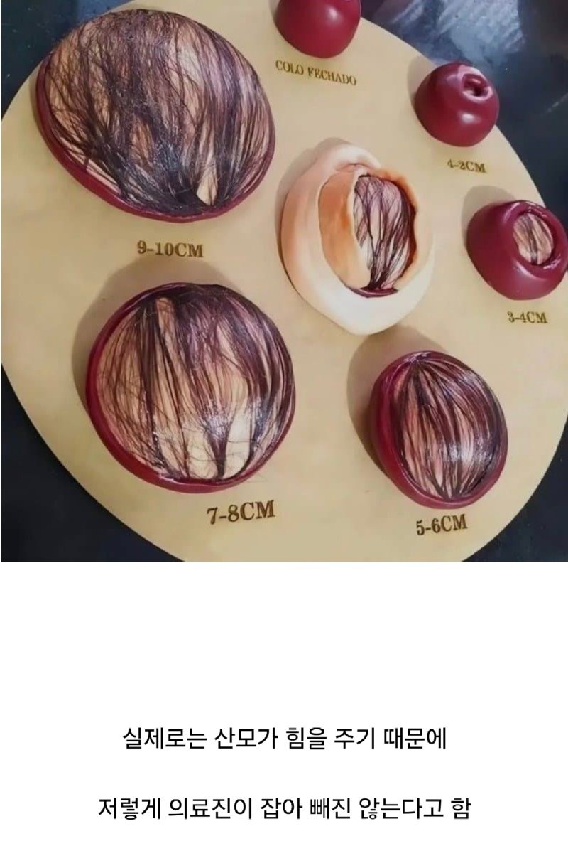 17286948435686.png