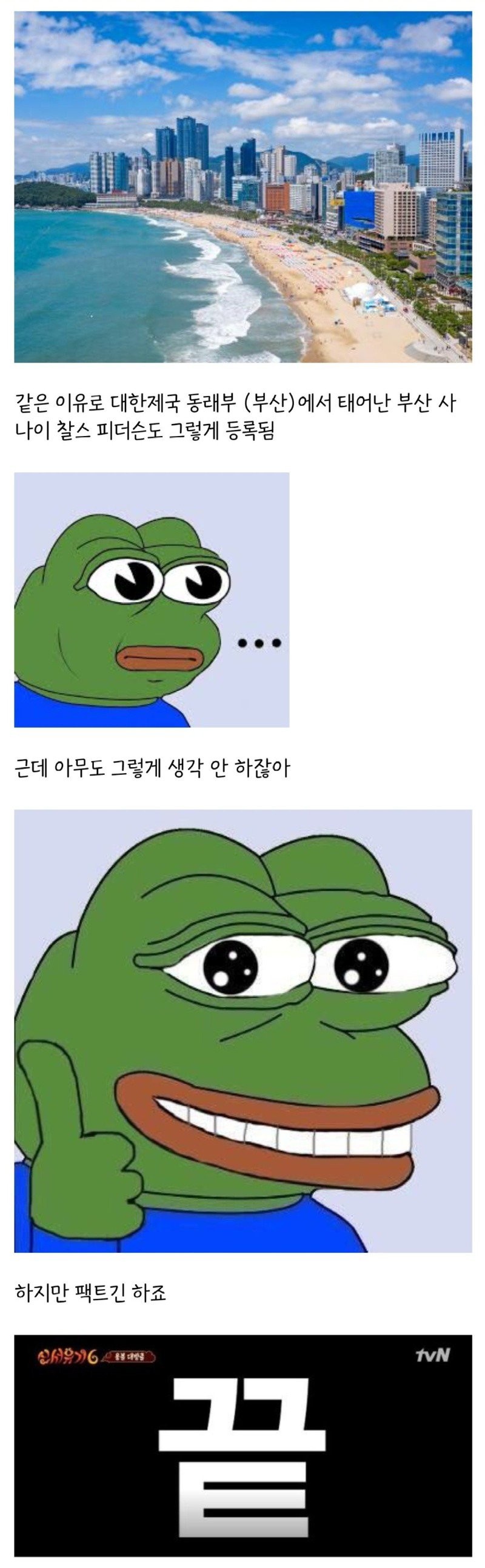 17286948759382.jpg