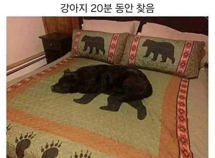 17287380210197.jpg