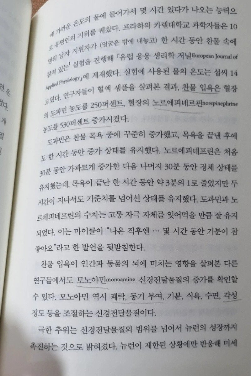 17291268119194.jpg
