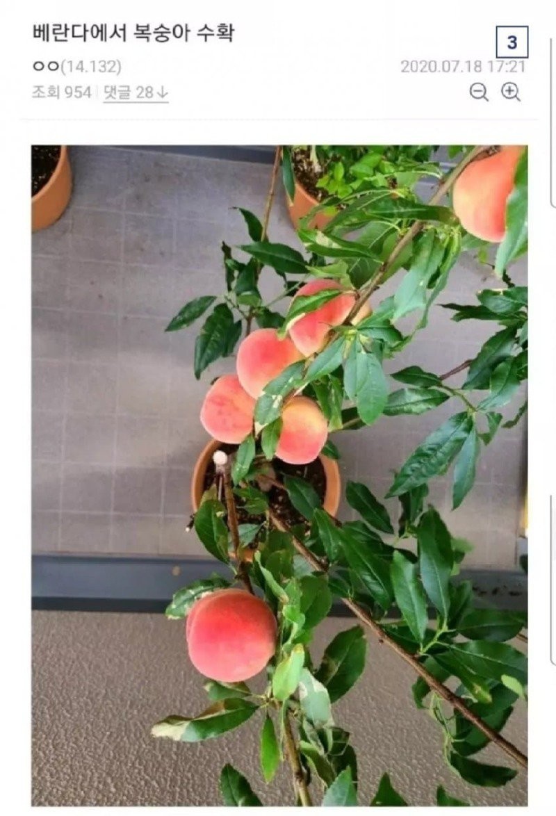 17292132246952.jpg