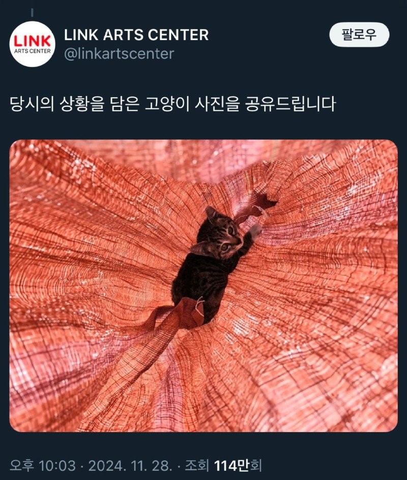 17330148257238.jpg