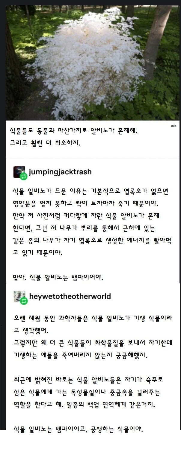 17330148639361.jpg