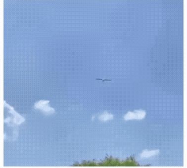 17333712364045.jpg