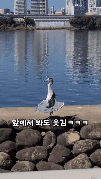 17333712396866.jpg