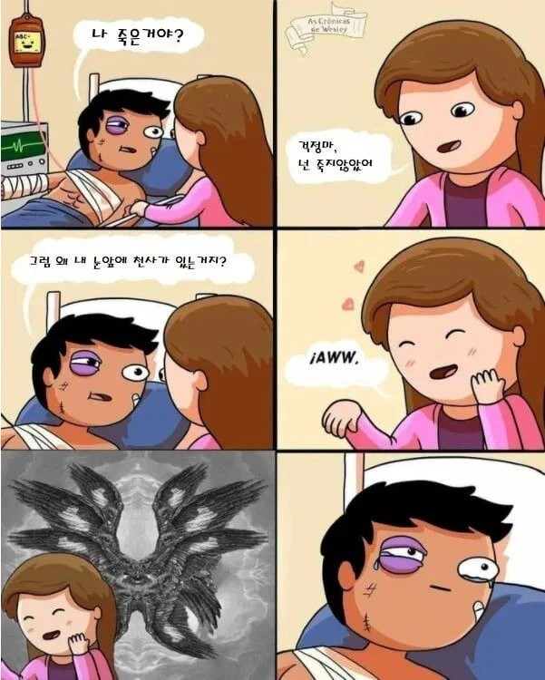 17334036490586.jpg