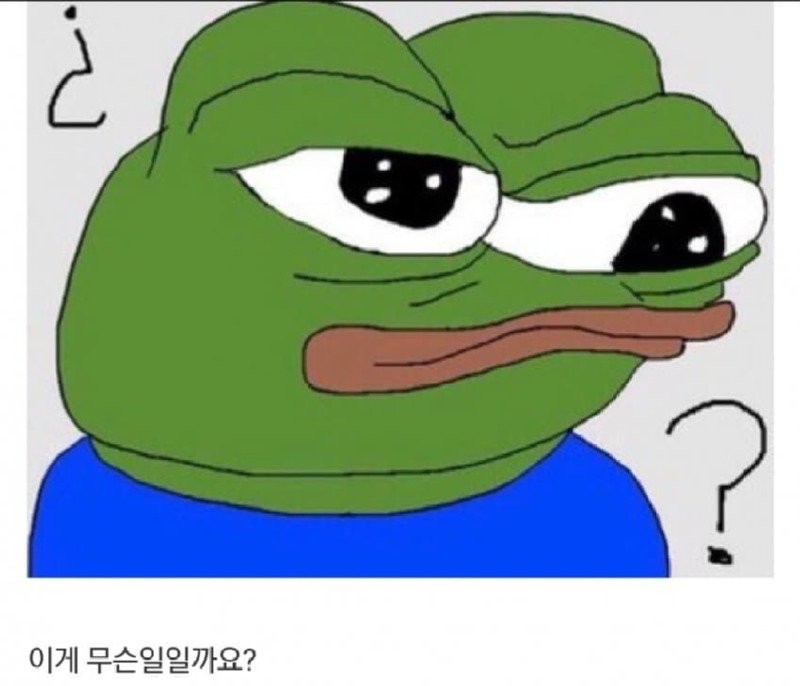 17335332212752.jpg