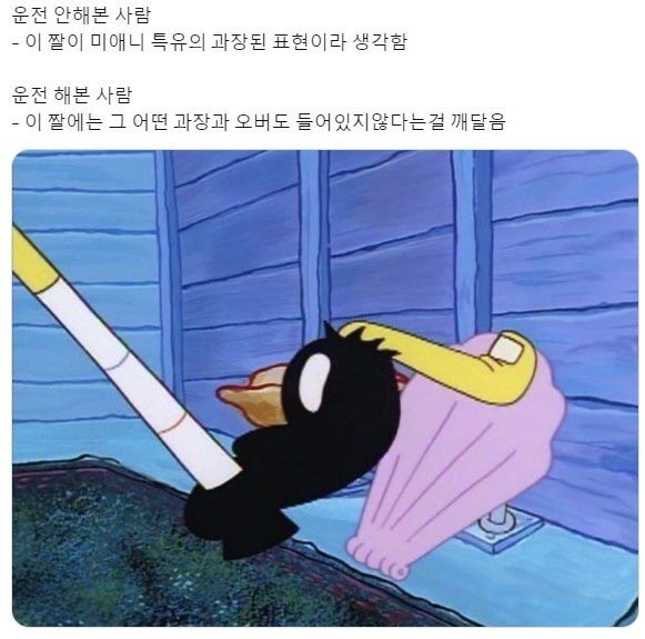 1733576470694.jpg