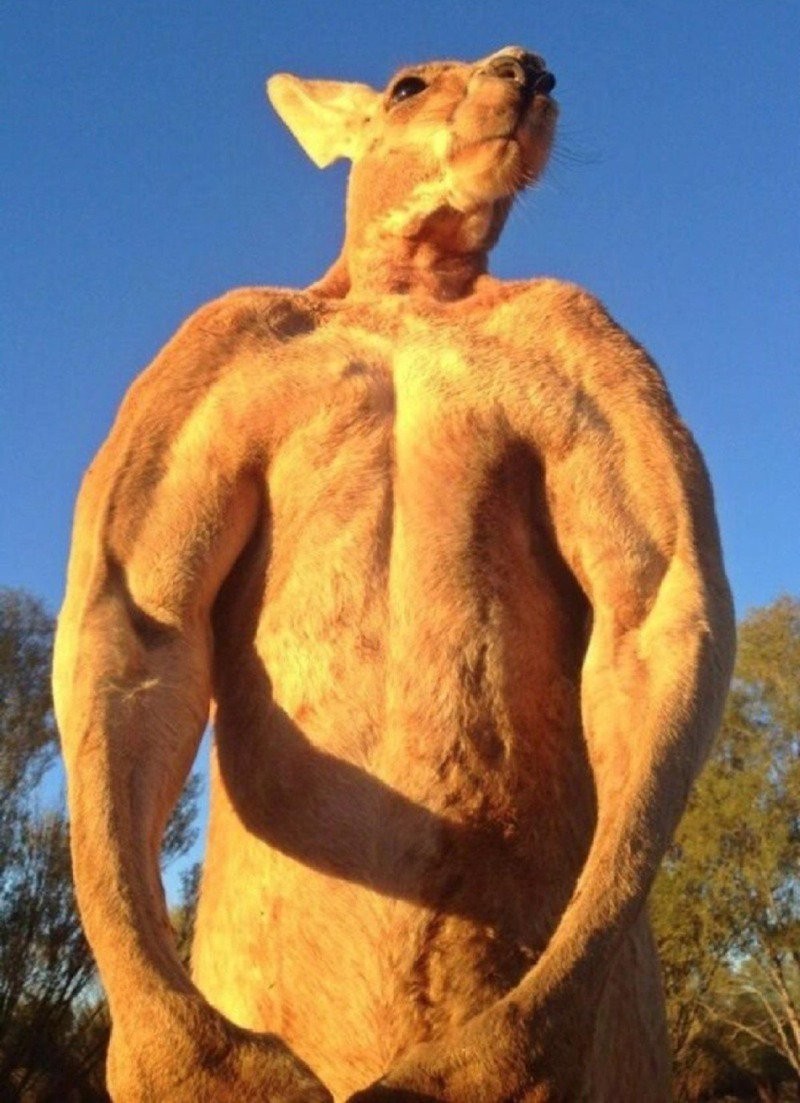 17336196179984.jpg