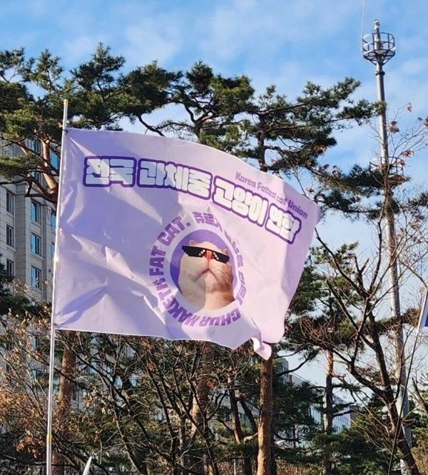17336196817249.jpg