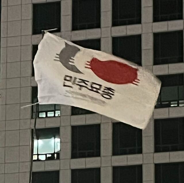 17336628311362.jpg