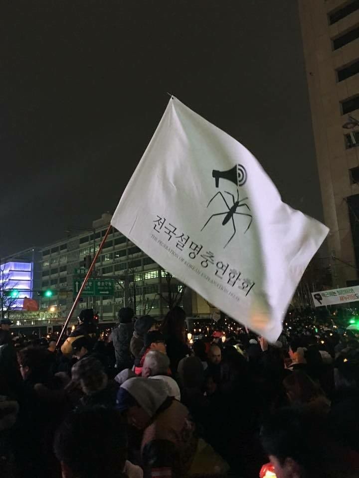 17336628339295.jpg