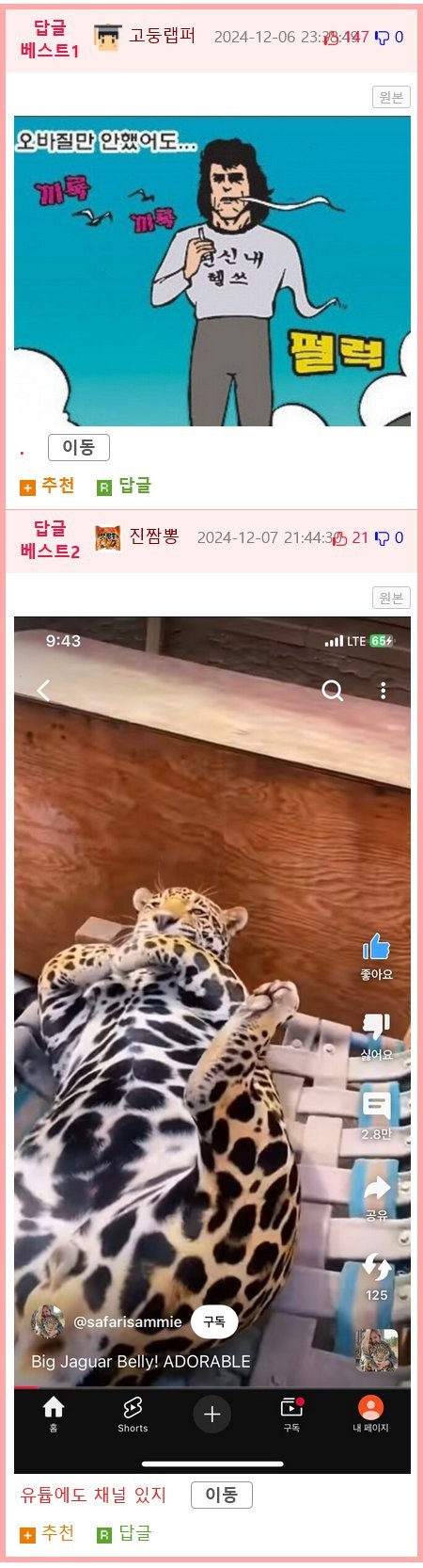 17337060094008.png