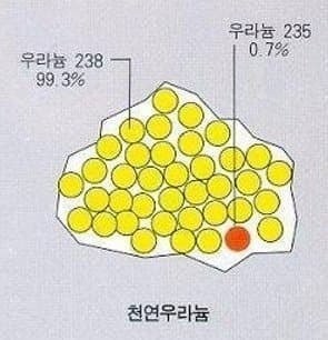 17338788263346.jpg