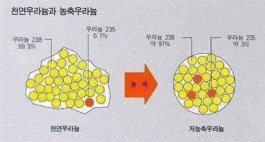 17338788272205.jpg