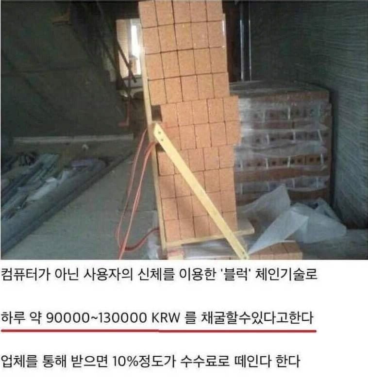1734008480262.jpg