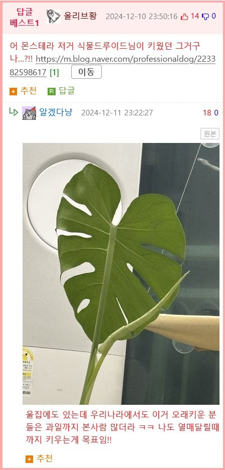 1734138050418.png