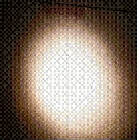 17342244147202.jpg