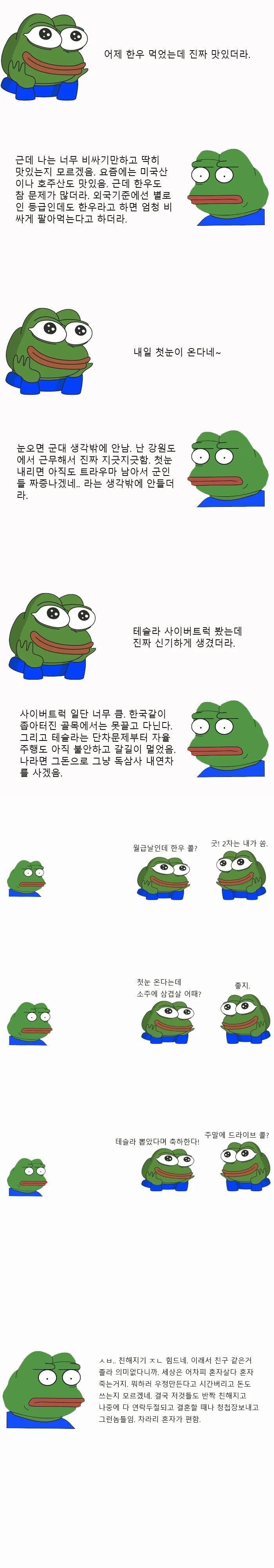 17342676858476.jpg