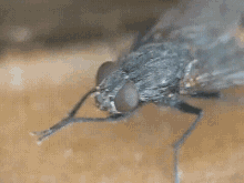 17343108185621.gif