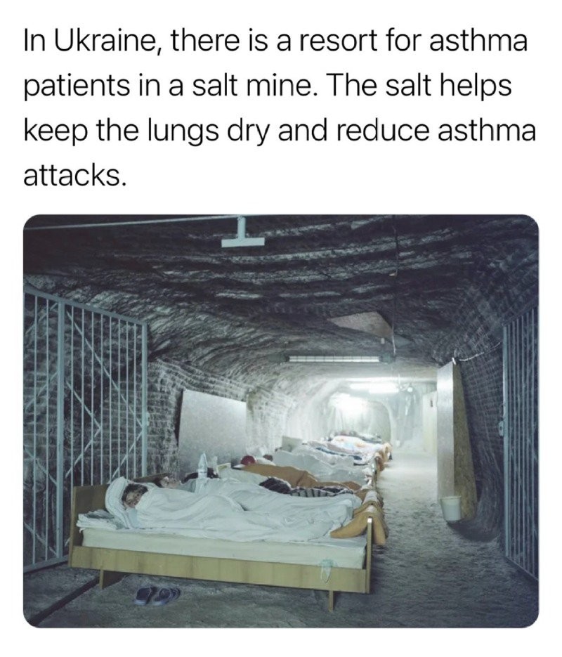 17345700404019.jpg