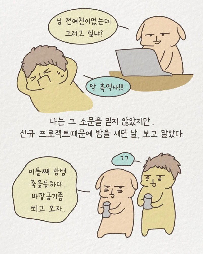 17350884259762.jpg