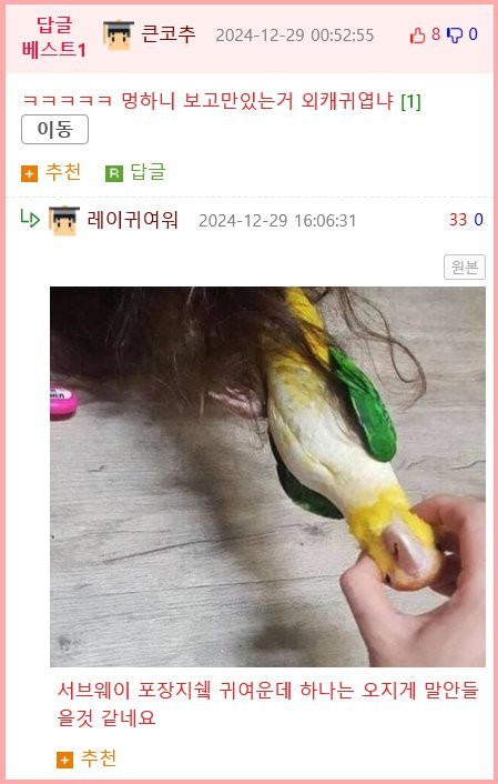 17355204203485.png