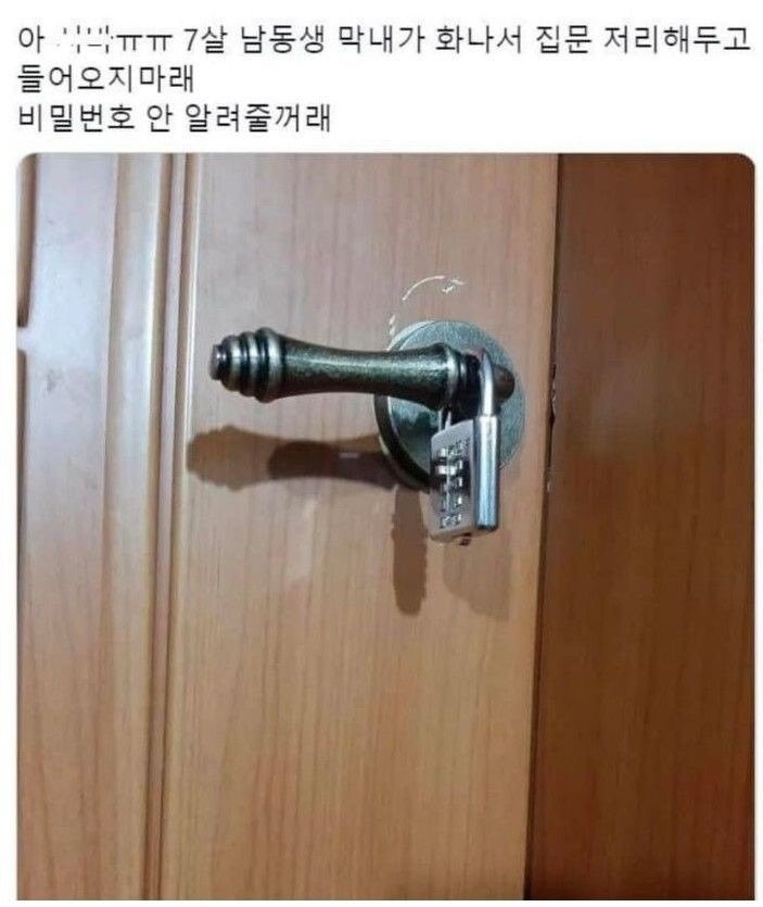 17359092648036.jpg