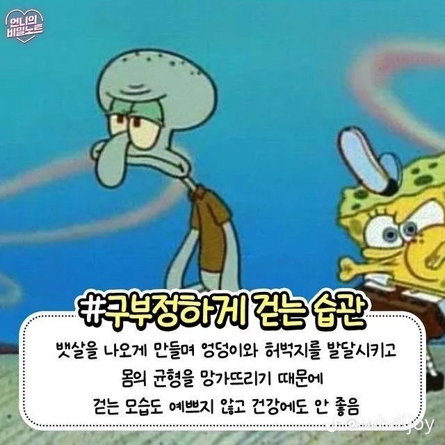1736082041883.jpg